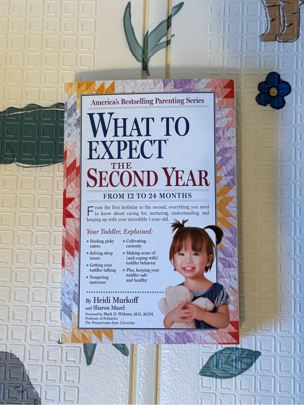 What to Expect The Second Year Book